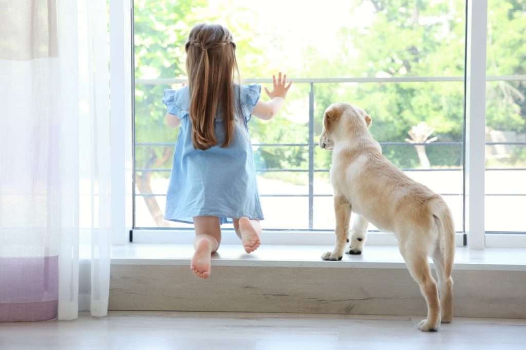 Cute Child With Labrador Retriever On Window Sill At Home quality tilt & turn windows installation and replacement - 2